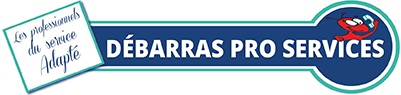 D.P.S. DEBARRAS PRO-SERVICES