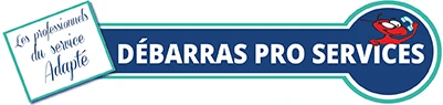 D.P.S. DEBARRAS PRO-SERVICES